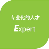 전문적인 인재,Expert