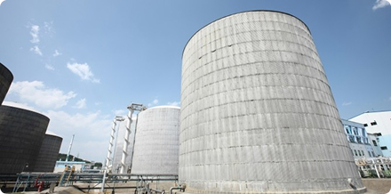 Ammonia Distribution