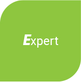 전문적인 인재,Expert